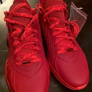 LeBron “James Gang” Crimson Red🔥